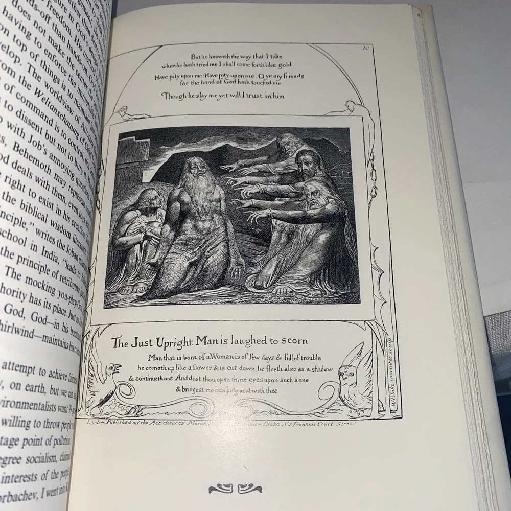 The First Dissident: The Book of Job VTGSafire, William 1st Edition 1st Printing